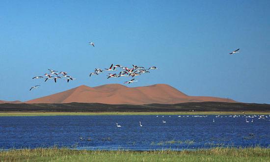 The Lake of Merzouga